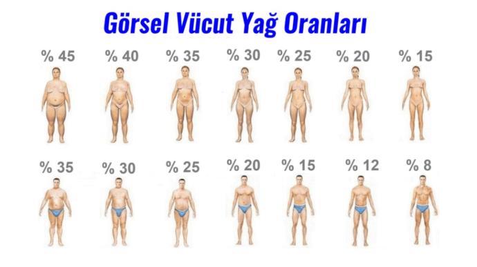 Vücut yağ oranınız % kaç?