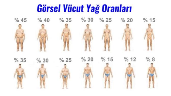 Vücut yağ oranınız % kaç?