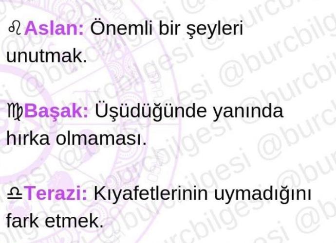 Burçlar Sinir bozucu şeyler olsaydı ne olurdu?