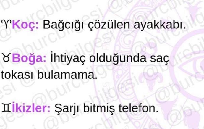 Burçlar Sinir bozucu şeyler olsaydı ne olurdu?
