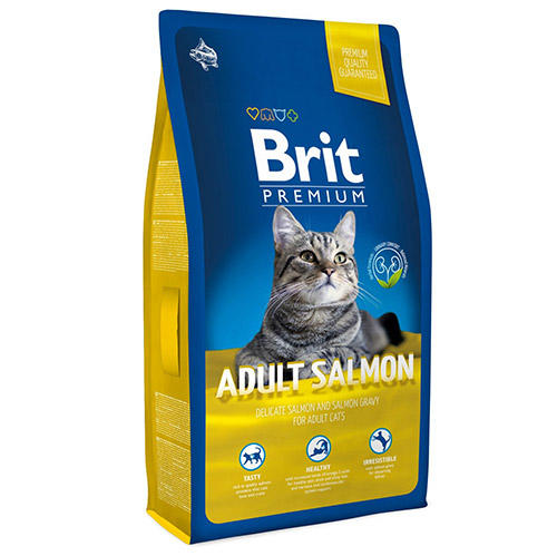 en iyi kedi maması tavsiyeleri