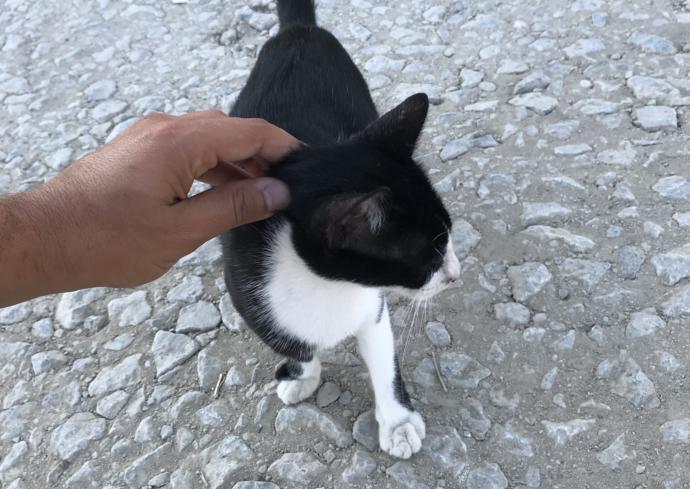 “Kuş sütüyle beslerim seni” demek istediğiniz biri var mı?