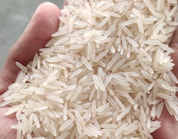 basmati pirinci