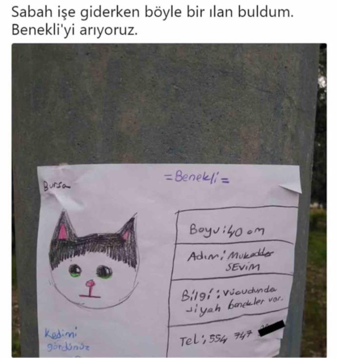 Güzelliği tek kelime ile anlatır mısınız?