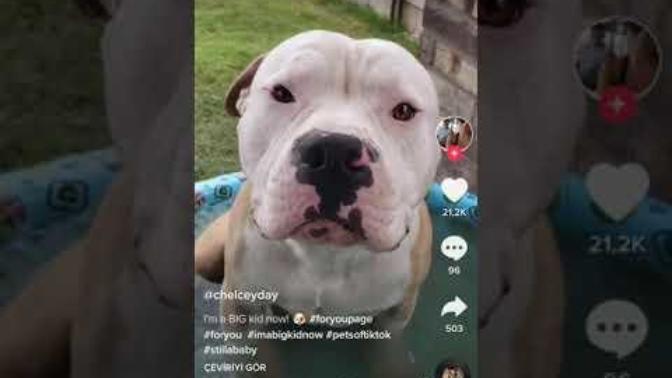 TikTok Küçüklükten Büyüklüğe Challenge’ı Seviyor Musunuz?