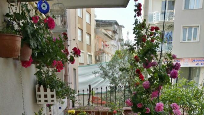 Sizce evde fazla bir oda mı yoksa balkon mu daha iyidir?