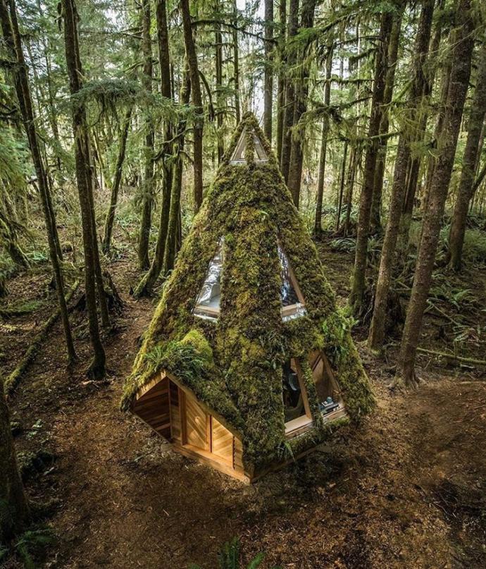 Yeni trend yurtdışında tiny house evler! Siz de kendinize alır mıydınız?