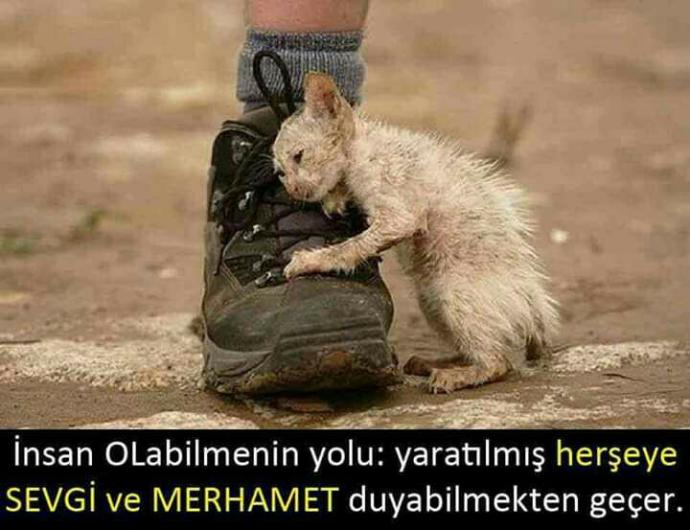 Başkalarını küçük ve hor gören insanlar hakkındaki düşünceleriniz nedir?