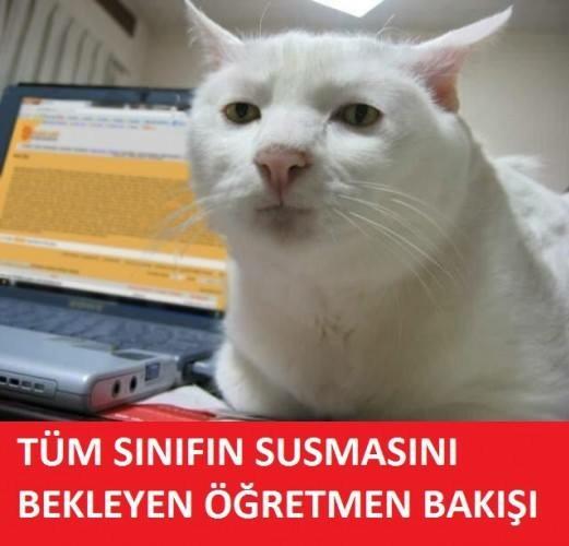 MEB'i̇n ölümsüz eseri̇ 