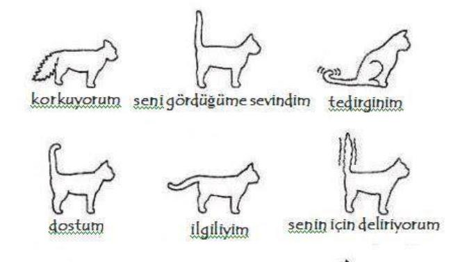 Bir kadın kuyruk sallıyorsa ne yapmamız gerekir?