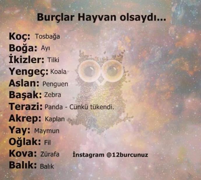 Burçlar Hayvan olsaydı ne olurdu öğrenmek ister misiniz?