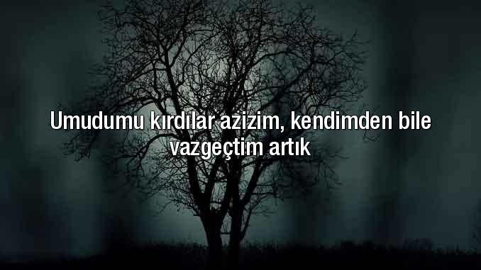hangi konularda çabalamaktan vazgeçtiniz?