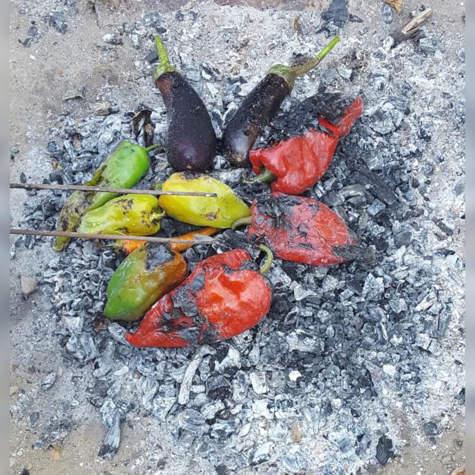 Göz hakkınızı helal edin görüntü bizim bahçeden😊