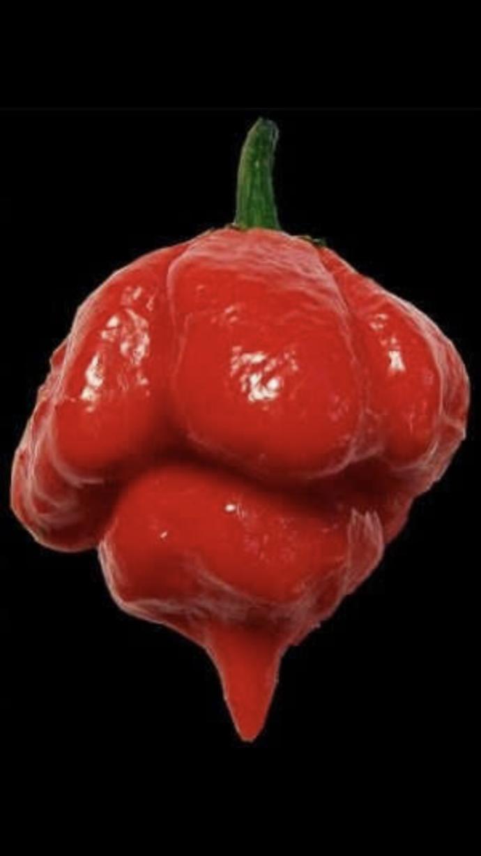 Acı biber 🌶 sever misiniz?