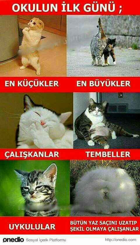 Ilginc seylere denk geldinizmi?