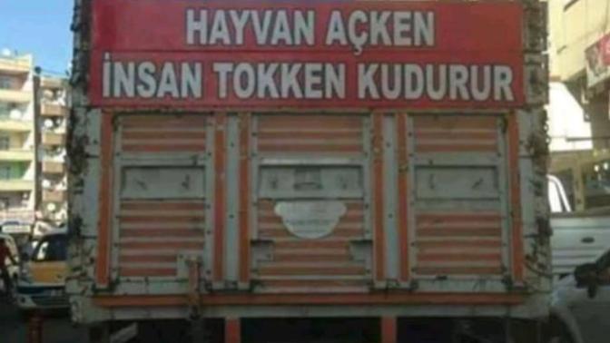 Hayvan açken, insan tok iken mi kudurur?