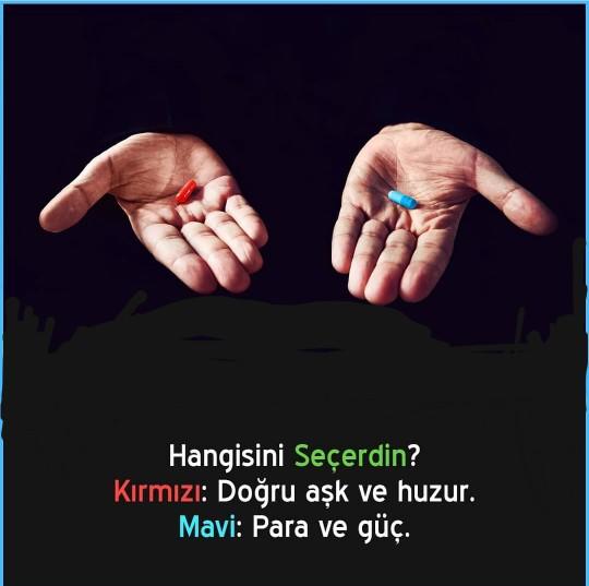 Hangisini seçerdin?