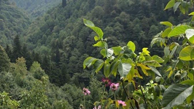 Kahvenizi nasıl bir manzarada içmek isterdiniz?