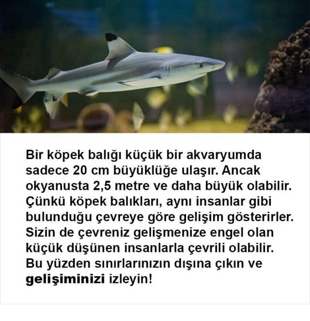 Kendi sınırınızı aşmanıza engel nedir?