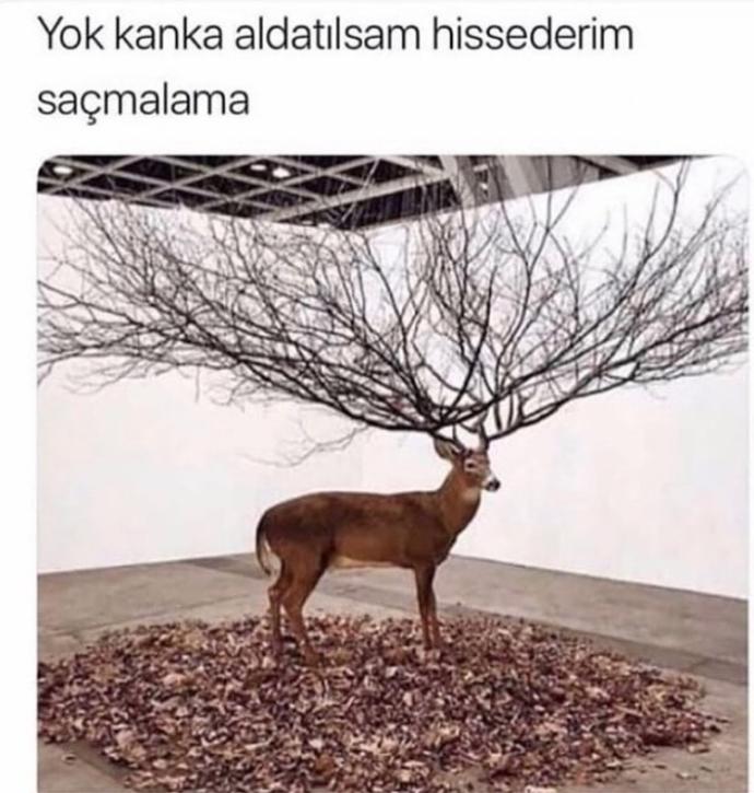 Aldatılsanız hisseder misiniz?