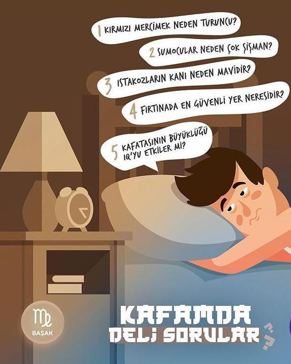 Burçların Aklına Takılan En Garip Soru Hangisi?