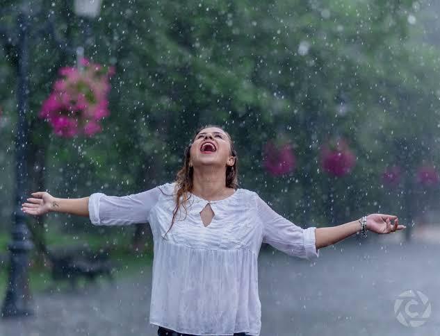 Pluviofil nedir?