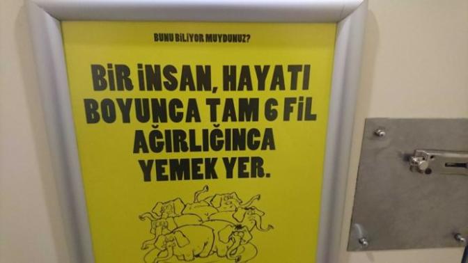 "Bir insan hayatı boyunca tam 6 fil ağırlığınca yemek yer" Yemek konusunda kendinizi hangi hayvana benzetiyorsunuz?