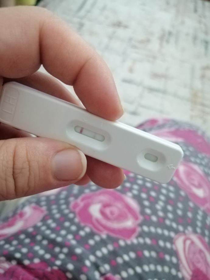 Ovulasyon testi - yumurtlama var mı?