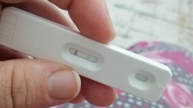 Ovulasyon testi - yumurtlama var mı?