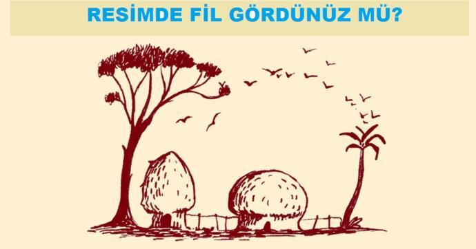 Sizce resimdeki fil nerede saklanıyor?