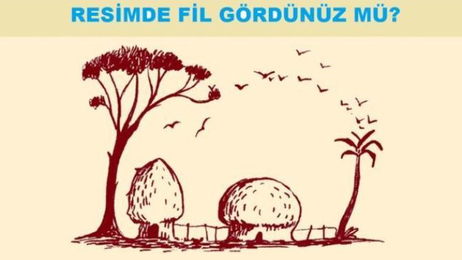 Sizce resimdeki fil nerede saklanıyor?