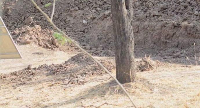 Kamufule olmuş leopari bulan var mı?