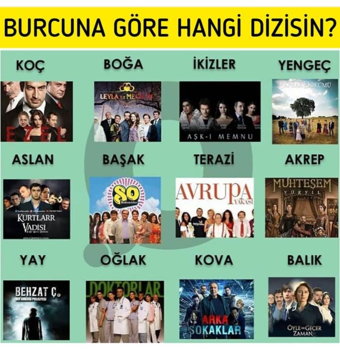 Burcuna göre hangi dizisin?