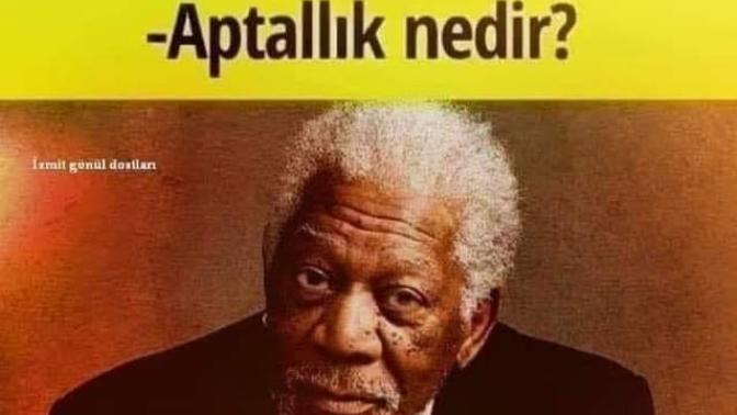 Aptallık nedir?