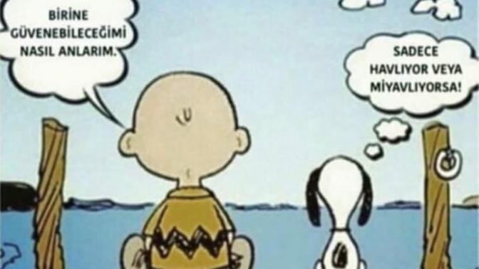 İnsanlara yeniden güvenmeyi öğrenmek mümkün mü?