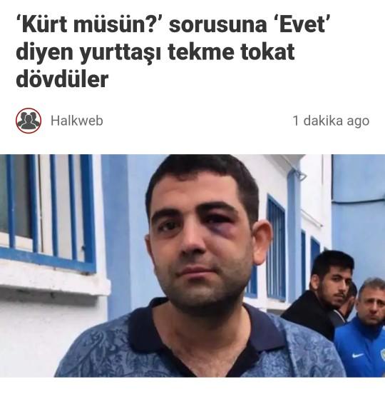 Kürt Türk laz alevi vs biriyle beraber olurmusunuz?