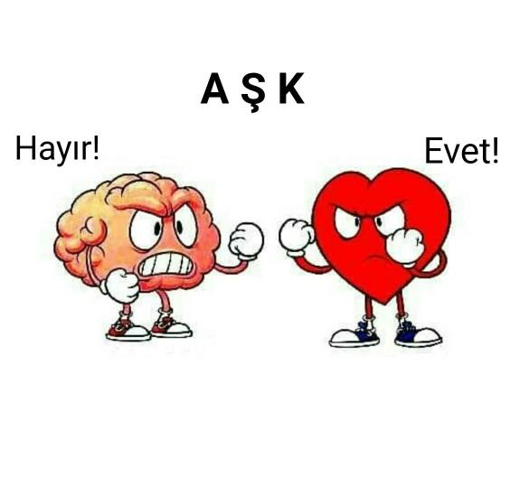 Akıl var, mantık var! 🤔💬❤ Kalp-beyin arasında: 