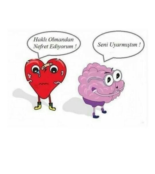 Akıl var, mantık var! 🤔💬❤ Kalp-beyin arasında: 