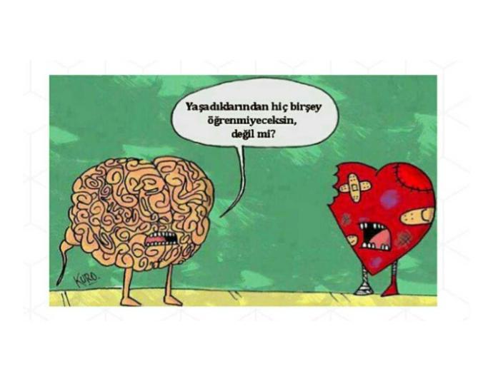 Akıl var, mantık var! 🤔💬❤ Kalp-beyin arasında: 