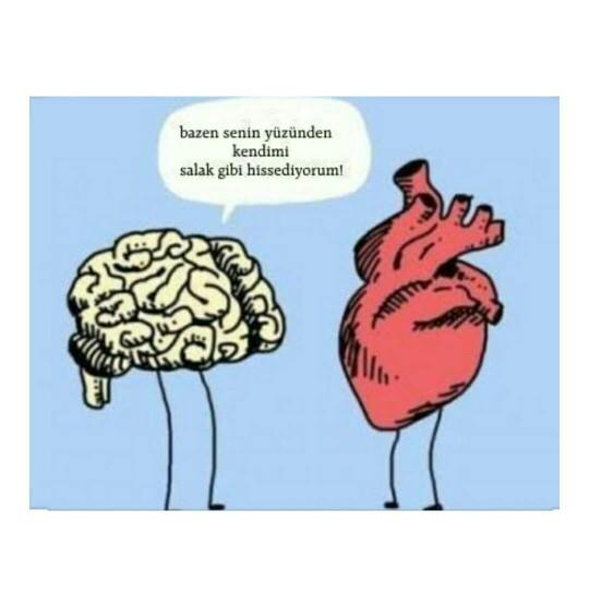 Akıl var, mantık var! 🤔💬❤ Kalp-beyin arasında: 