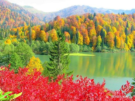 Sonbaharda Artvin'e gittiniz mi?