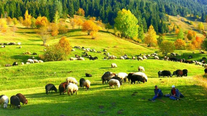 Sonbaharda Artvin'e gittiniz mi?