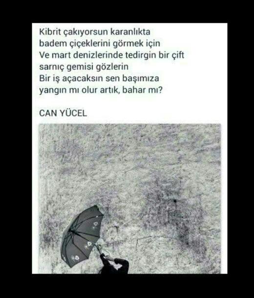 Sizce, hangi