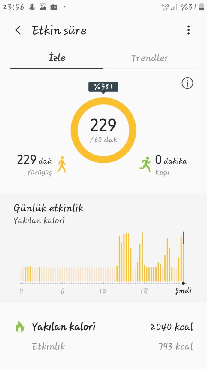 Gün içinde en fazla kaç saat/kaç adım yürüyüş yaptınız?