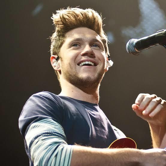Selena gomez, niall horan ile mi çıkıyor, sizce yakışıyorlar mı?
