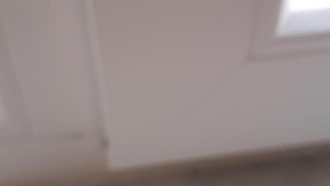 Aleo veramın yaprakları sarardı nasıl kurtarabilirim?
