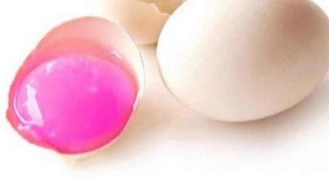 Flamingo yumurtasi yemek ister misiniz?