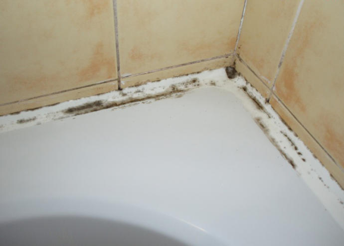 Banyoda Bulunan Silikondaki Siyah Lekeler Nasıl Çıkar?