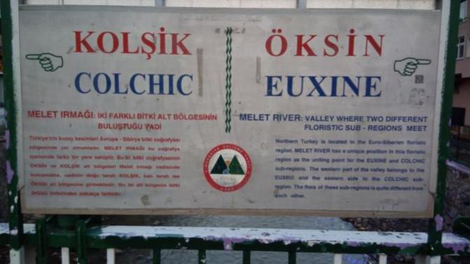 Öksin ve Kolşik nedir biliyor musunuz? Öksin ve Kolşik nedir biliyor musunuz?