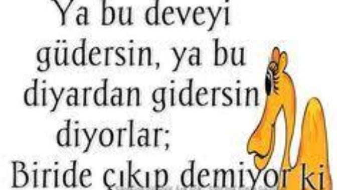"Ya bu deveyi güdersin ya da bu diyardan gidersin" derler peki siz giden mi olursunuz çeken mi?